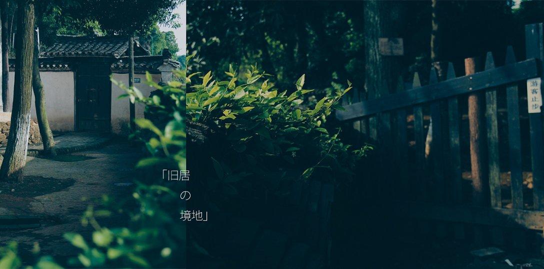 飞天小猪仔